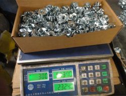 د فابریکې لید